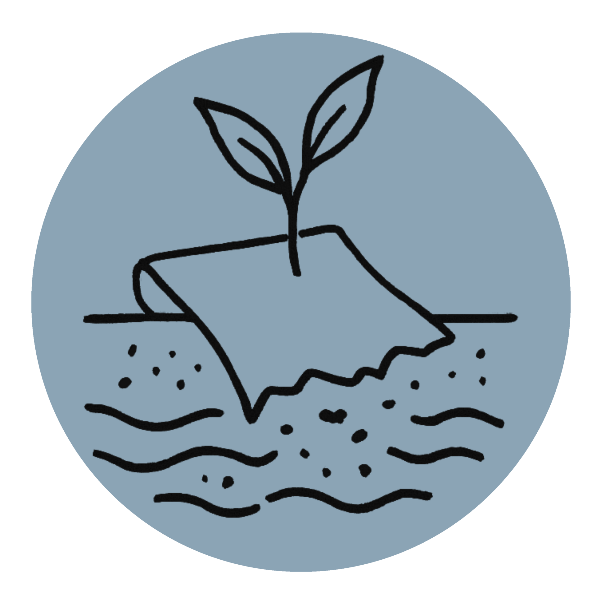 Planet Friendly Choices