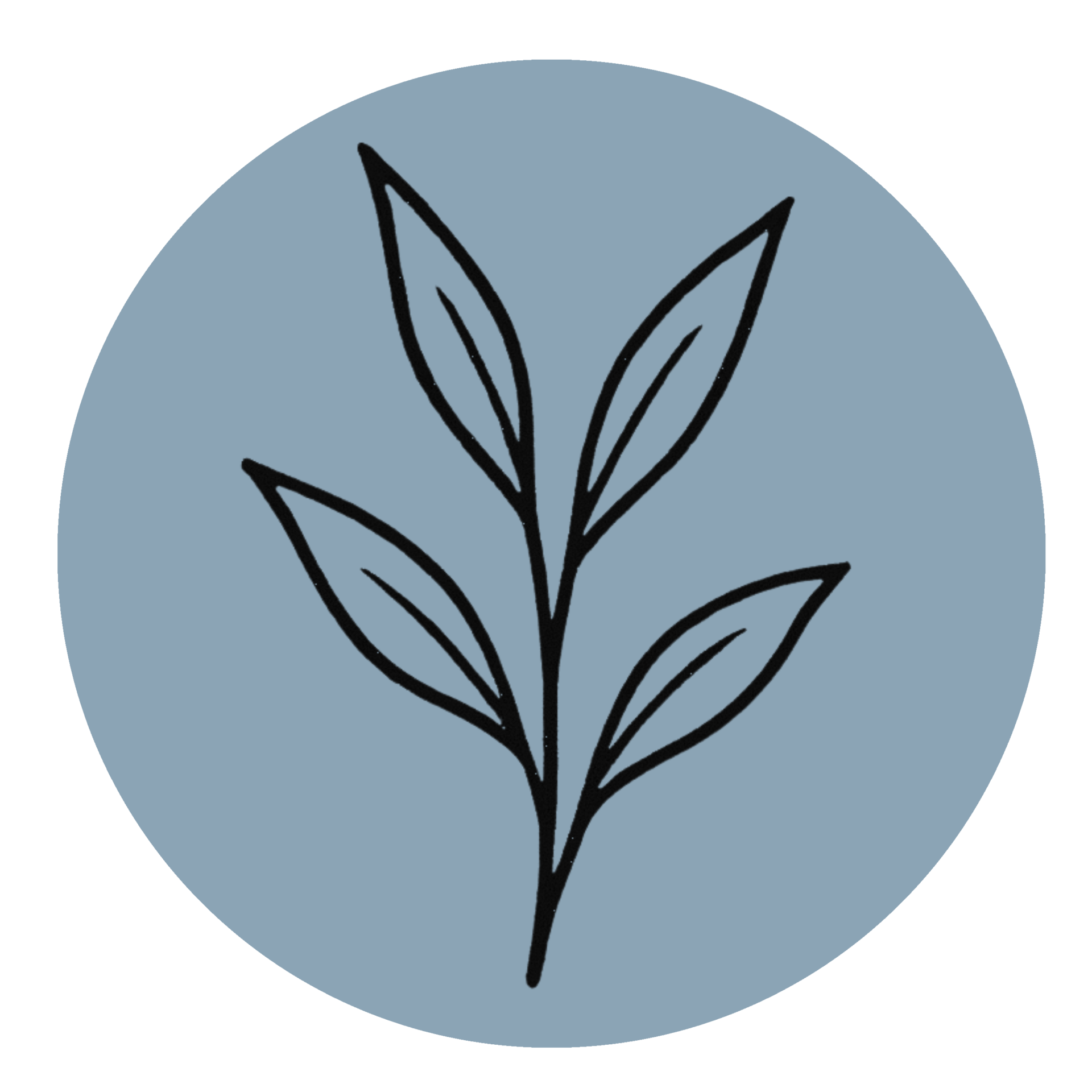 Plant Based Fabrics 1