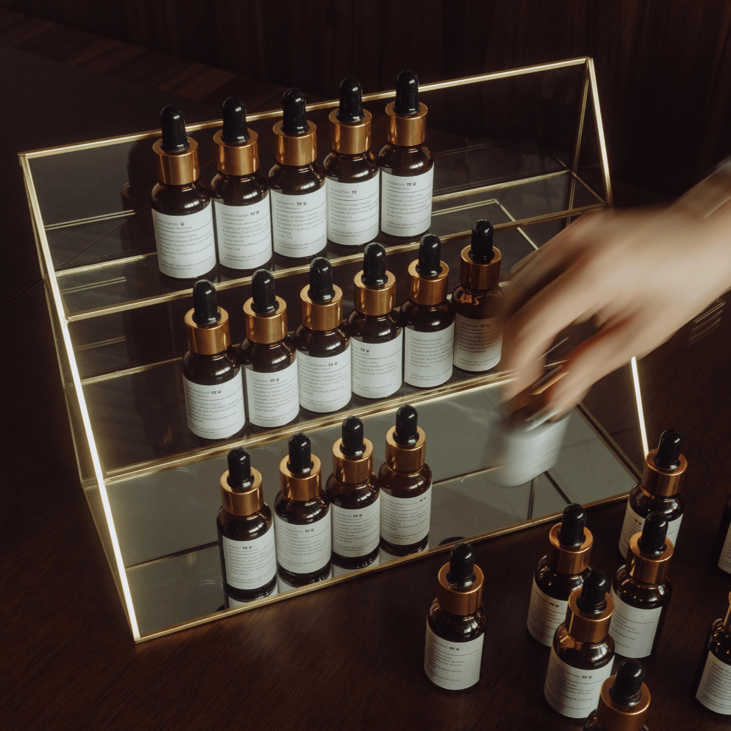 The Door Only Scent Can Open